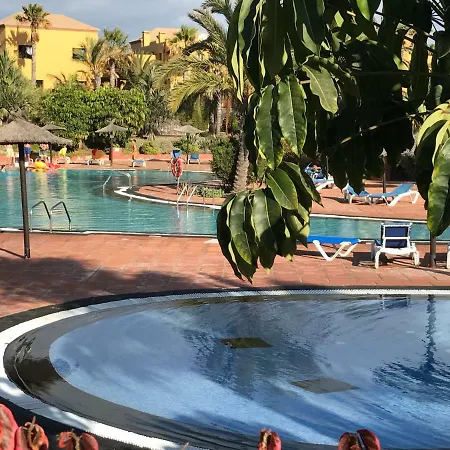 Apartament My Pretty - Lovely And Spacious Surrounded By Tropical Gardens - Private Covered And Uncovered Terrace - Pool - Parking - Free Fibre Optic Internet *