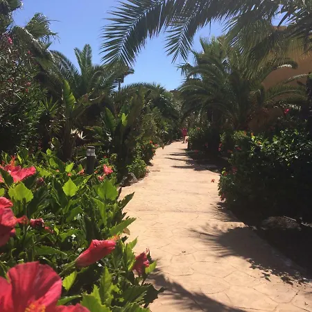 My Pretty - Lovely And Spacious Surrounded By Tropical Gardens - Private Covered And Uncovered Terrace - Pool - Parking - Free Fibre Optic Internet