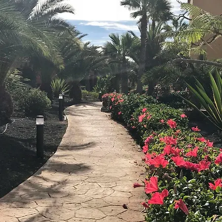 My Pretty - Lovely And Spacious Surrounded By Tropical Gardens - Private Covered And Uncovered Terrace - Pool - Parking - Free Fibre Optic Internet شقة *