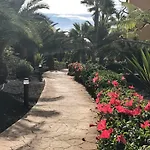 Tropical Garden Retreat: Private Terrace & Pool Oasis Apartment *