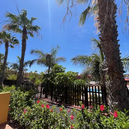 My Pretty - Lovely And Spacious Surrounded By Tropical Gardens - Private Covered And Uncovered Terrace - Pool - Parking - Free Fibre Optic Internet * Corralejo