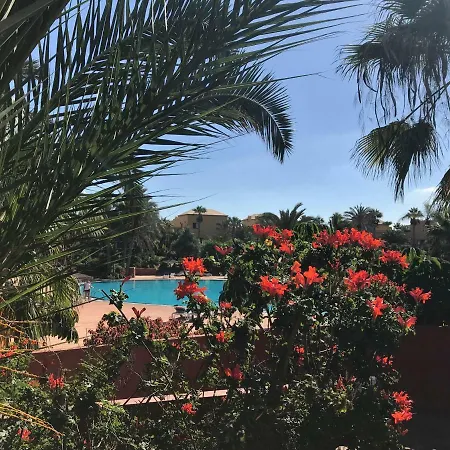 Апартаменты My Pretty - Lovely And Spacious Surrounded By Tropical Gardens - Private Covered And Uncovered Terrace - Pool - Parking - Free Fibre Optic Internet